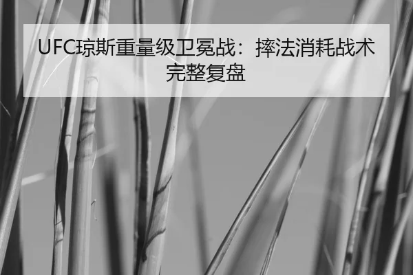 UFC琼斯重量级卫冕战：摔法消耗战术完整复盘