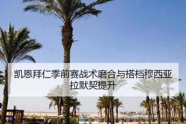 凯恩拜仁季前赛战术磨合与搭档穆西亚拉默契提升