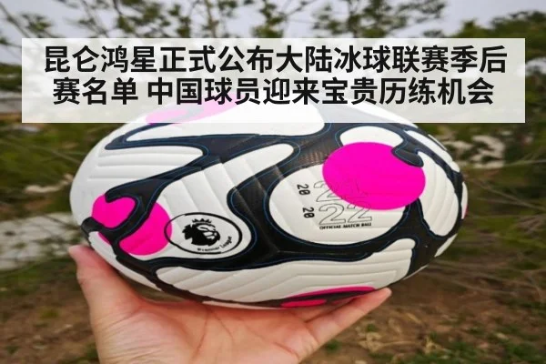 昆仑鸿星正式公布大陆冰球联赛季后赛名单 中国球员迎来宝贵历练机会